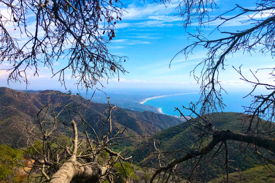 A view of the Pacific Ocean and California coastline from high in the Santa Monica Mountains.